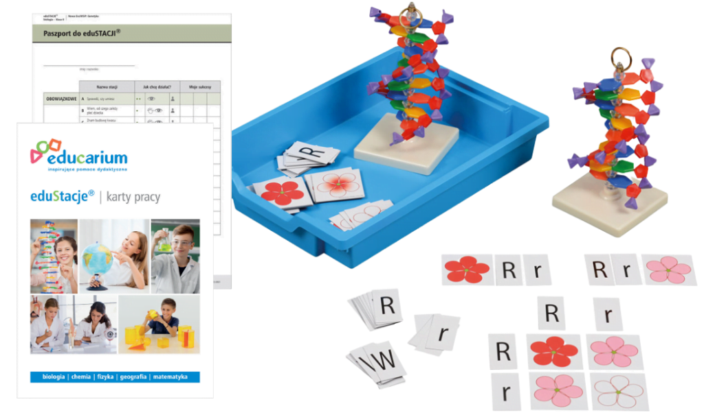 eduStacje biologia klasa 8 1