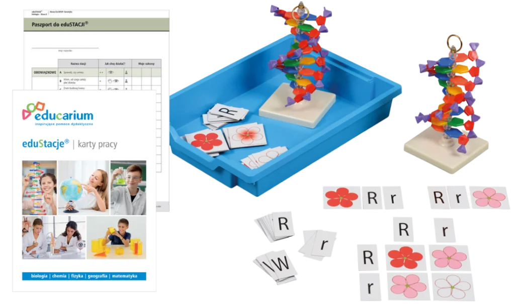 eduStacje biologia klasa 8 1